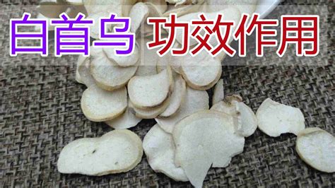 白首烏禁忌|白首烏：營養價值、功效、禁忌、食用方式